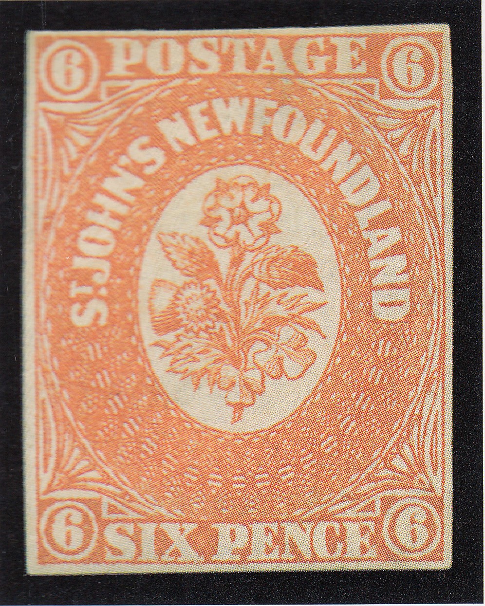 Siegel Census Record 6-UNC-05 — Siegel Auction Galleries